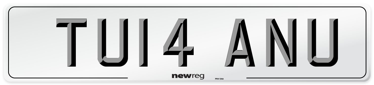 TU14 ANU Number Plate from New Reg